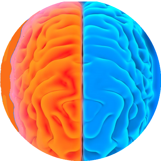 left&right-brain